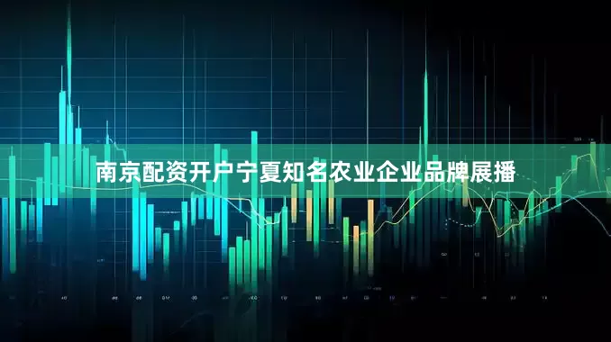 南京配资开户宁夏知名农业企业品牌展播