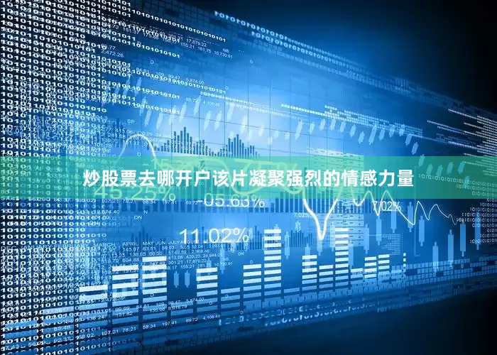 炒股票去哪开户该片凝聚强烈的情感力量