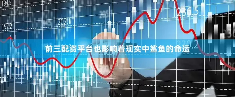 前三配资平台也影响着现实中鲨鱼的命运