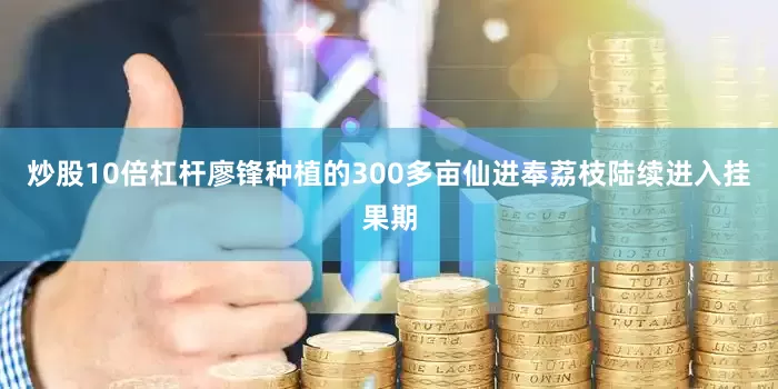 炒股10倍杠杆廖锋种植的300多亩仙进奉荔枝陆续进入挂果期